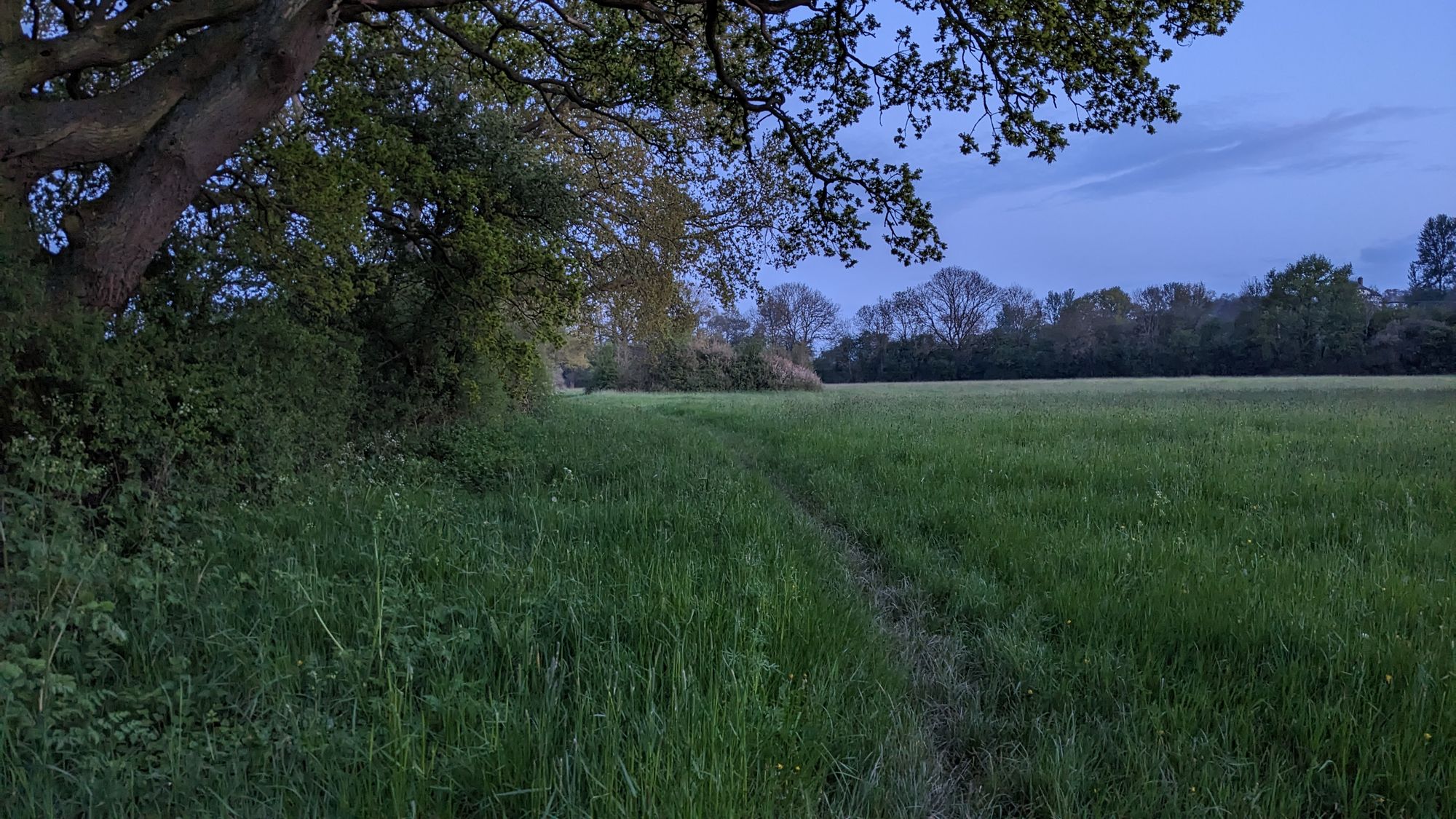 Field Notes